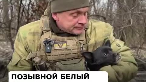 Жужик — настоящий член экипажа ЗРК «Стрела-10»