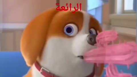 تعلم الانجليزية من الصفر