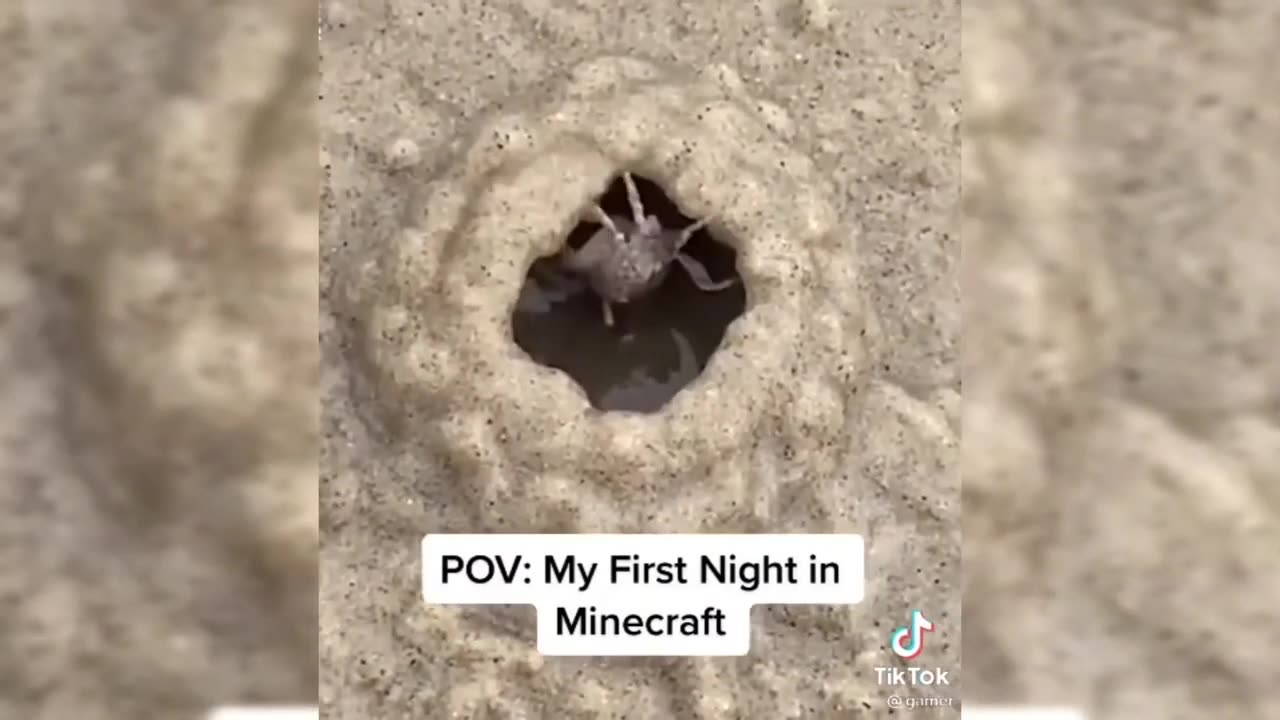 Try Not To Laugh Challenge _ TikTok March Edition