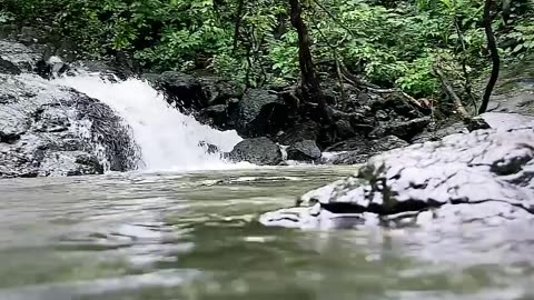 Free Nature Video Clip || Free To Use Clip for Video || Nature Beauty