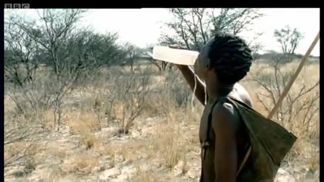 The Intense 8 Hour Hunt | Attenborough Life of Mammals | BBC Earth