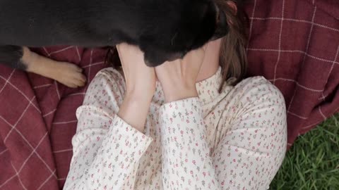 Cats and baby funny video