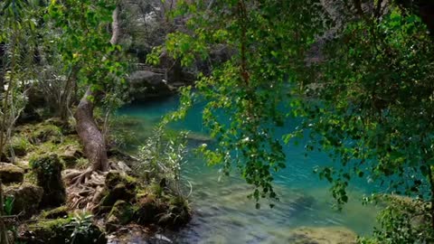 Relaxing Music | Sleeping, Meditation, Stress Relief | [1673] ⭐️