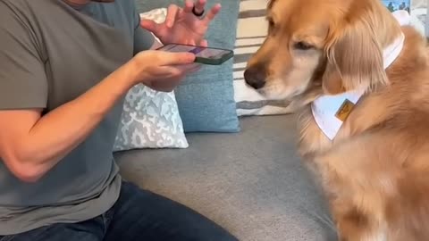 Dog translation app 🐕