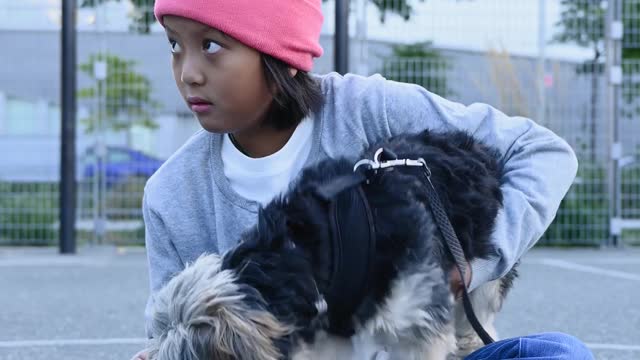 Dog videos cute dog videos