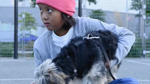 Dog videos cute dog videos