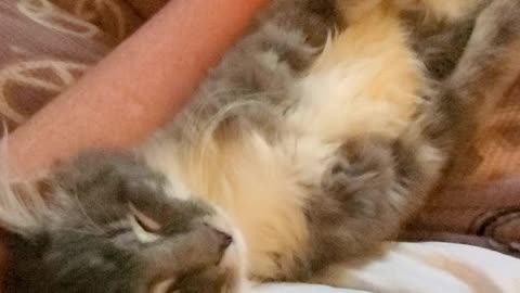 Cuteness overload 😍