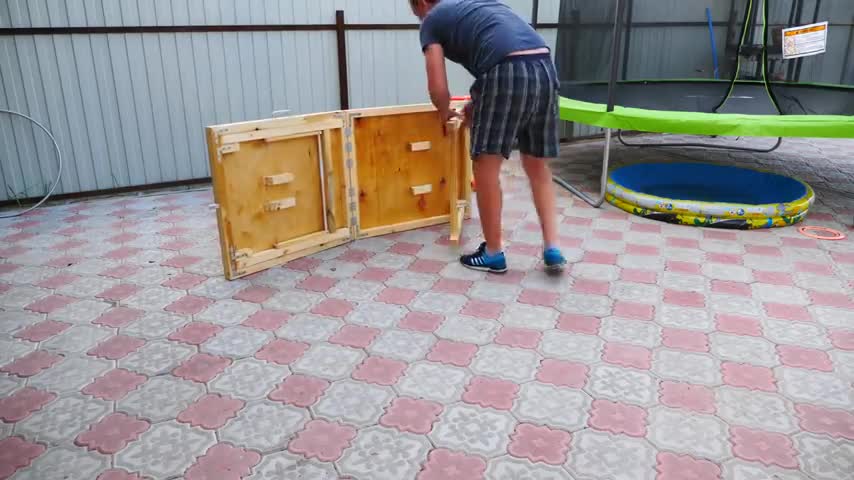 funny|prank|jokes|funny jokes|dad jokes|funny memes|funny video|fun|laughing|funny animal|knock