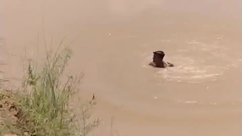 Sorry for more than a little baby video