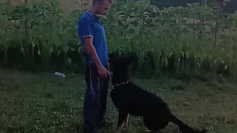 Beppe and zirk