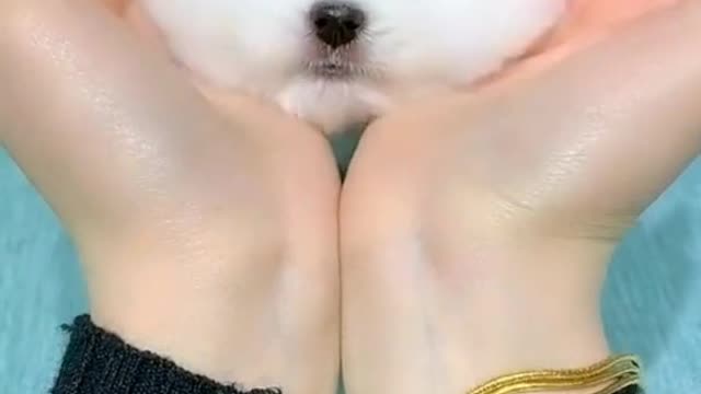 Am i cute??