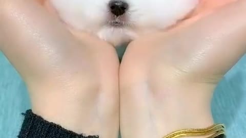 Am i cute??