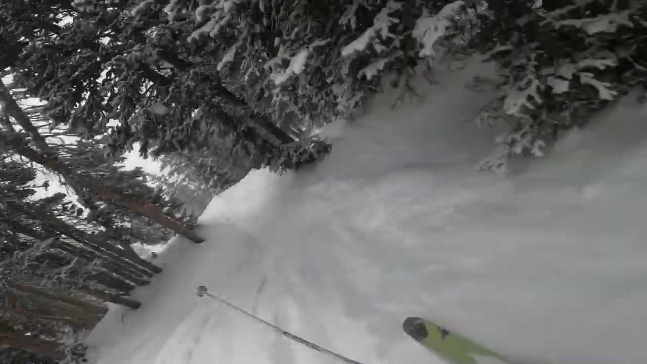 Novembuary. (Summit, Solitude Ut.)