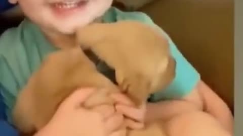 Adorable A Cute Puppy 🐶and Baby👶