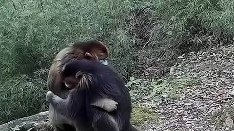 The most exciting thing you will see today ❤️