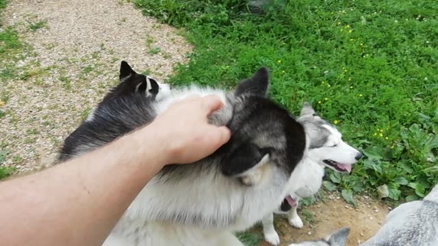 The best meeting from work