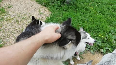 The best meeting from work