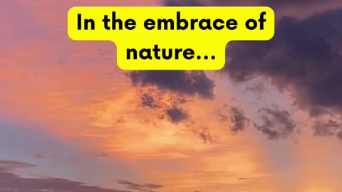 Allow nature to embrace you #shorts #PositiveThoughts #MotivateYourself #Empowerment