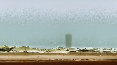 life of insects