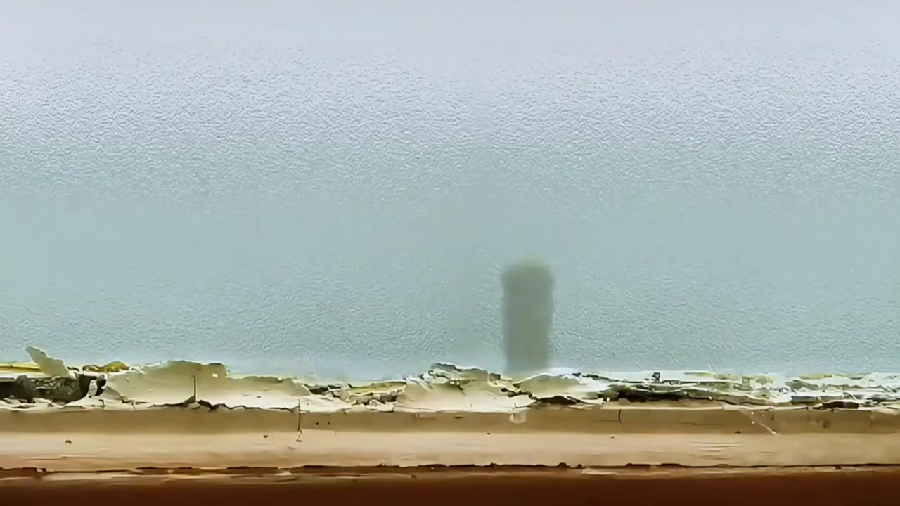life of insects