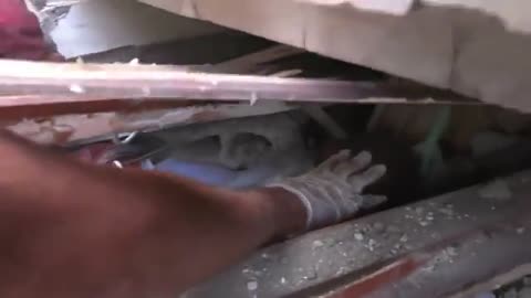 Kids after Israel bombing