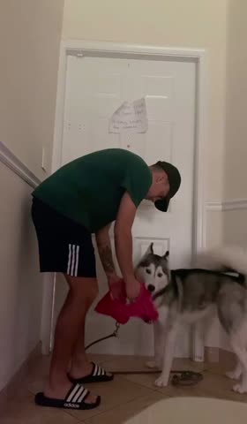 Freezing in front of my dog to see her reaction