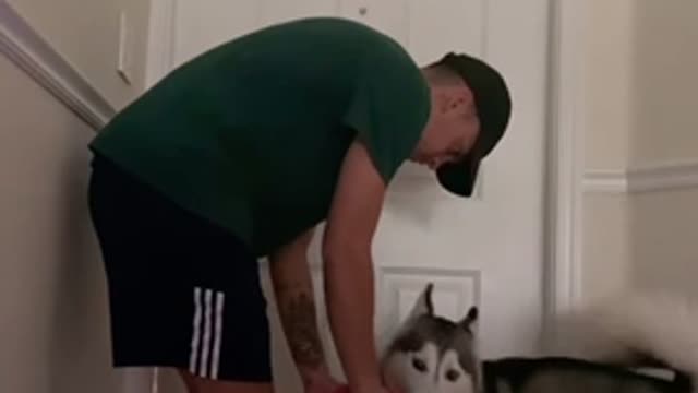 Freezing in front of my dog to see her reaction