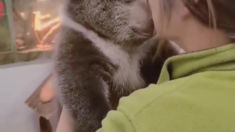 Bear Love