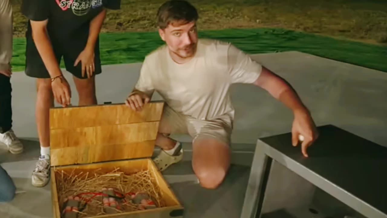 M.r beast crazy experiment