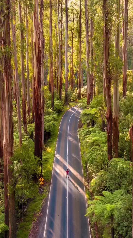 Whos from Victoria here, or have you visited before? #travelphotography #melbourne