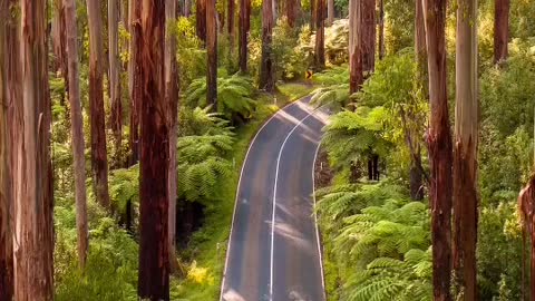 Whos from Victoria here, or have you visited before? #travelphotography #melbourne