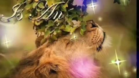 JESUS CHRIST LAMB OF GOD