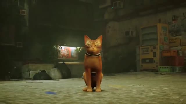 There is a game coming out where you play as a cat roaming a dystopian future city