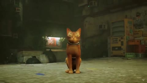 There is a game coming out where you play as a cat roaming a dystopian future city