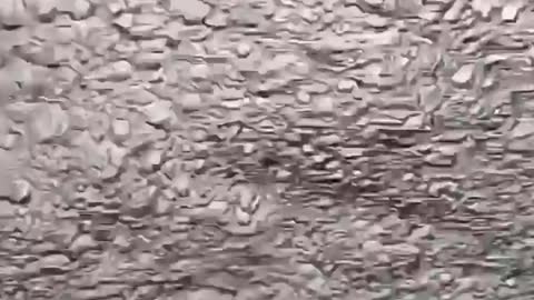 Close call with a Humpback Whale