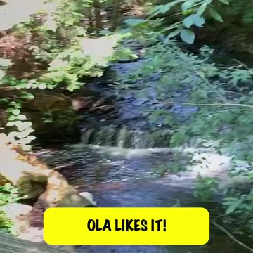 A WARM UP BABY WATERFALL!