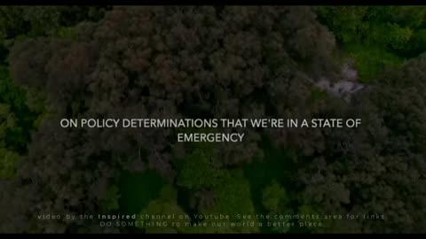 There's Something Much Bigger Going On Here | Dr. Robert Malone 2022