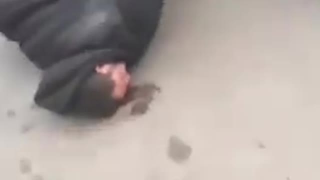 ※観覧注意※民間人を襲ってるのは誰ですか？