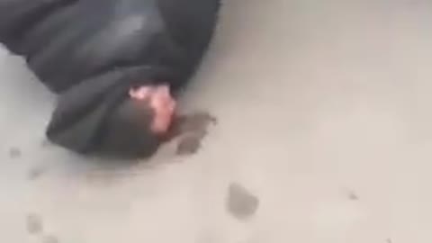 ※観覧注意※民間人を襲ってるのは誰ですか？