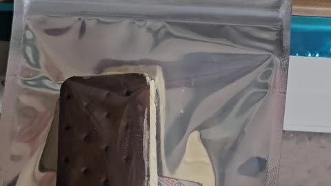 Freeze Dried Ice cream sandwich
