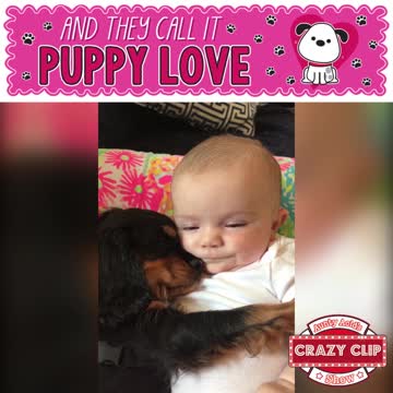 Aunty Acid Crazy Clip Show - Puppy Love