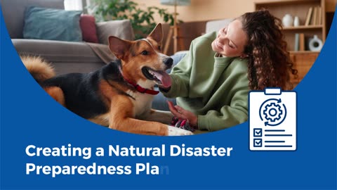 Only one-third of Americans have natural disaster plans for pets