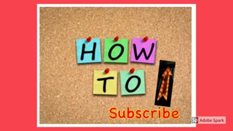 How to TRAIN your Dog To Stay - Dog Training Videos For Beginners