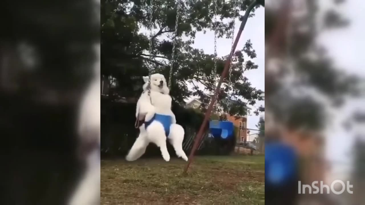 Look at this