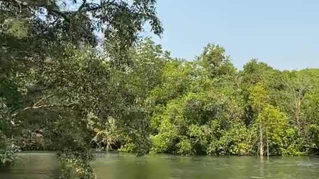 J'aime la nature