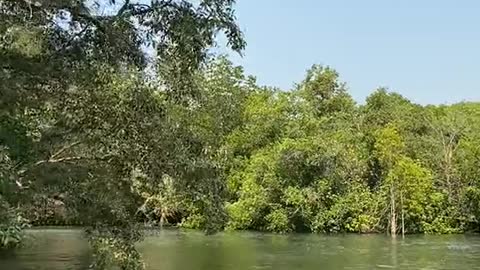 J'aime la nature