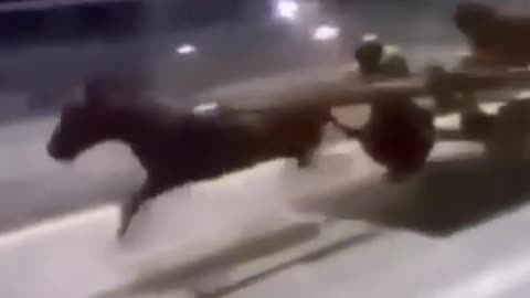 Horse Running Very Fast 200Km/h