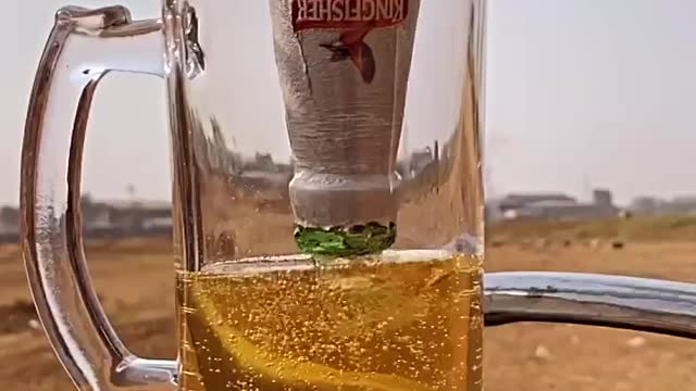 Take a chill in the summer 🍻