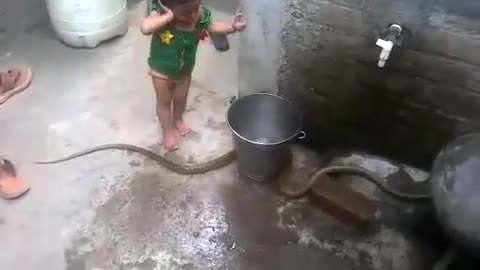 Kid pick up a snake!