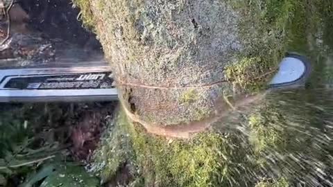 funny|prank|jokes|funny jokes|dad jokes|funny memes|funny video|fun|laughing|funny animal|knock